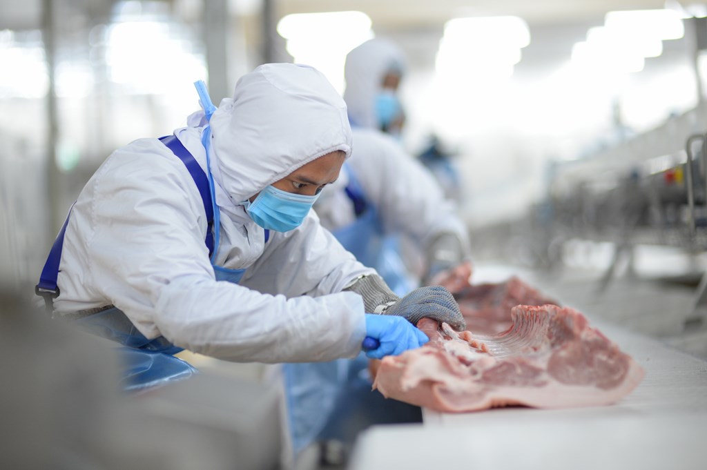 Masan MEATLife: Đảm bảo an toàn thực phẩm trong bối cảnh dịch tả lợn châu Phi tái bùng phát- Ảnh 2.