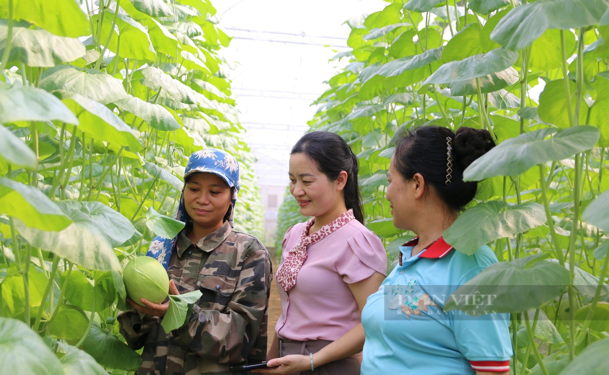 Hội Nông dân Thanh Hóa đưa tín dụng chính sách về tận thôn, xóm, bản, làng- Ảnh 6.