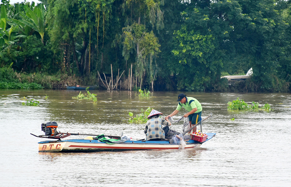 Mùa nước nổi An Giang, dưới sông "con nước đã lừ đừ chín đỏ", dân câu lưới đã bắt được cá đồng ngon- Ảnh 2.