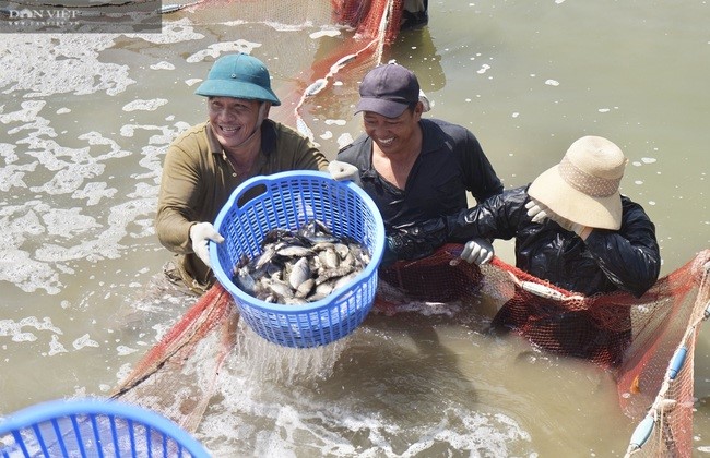 Đà Nẵng ứng dụng chuyển đổi số để nông dân làm giàu, nông nghiệp hiện đại, nông thôn văn minh- Ảnh 9.