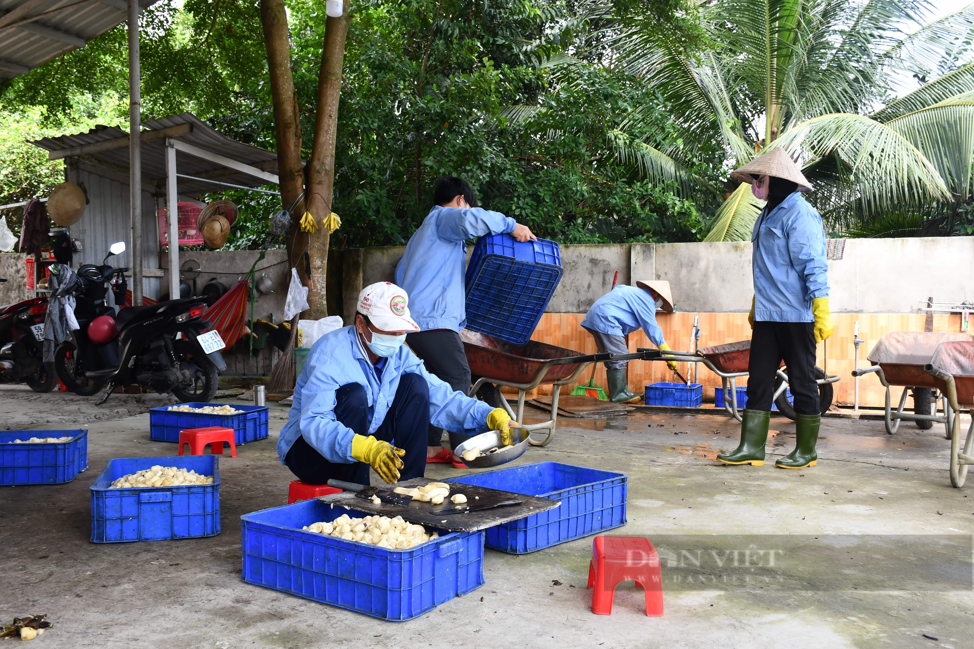 Để xuất khẩu khỉ đuôi dài sang thị trường Trung Quốc, các doanh nghiệp Việt cần đáp ứng điều kiện gì?- Ảnh 3.