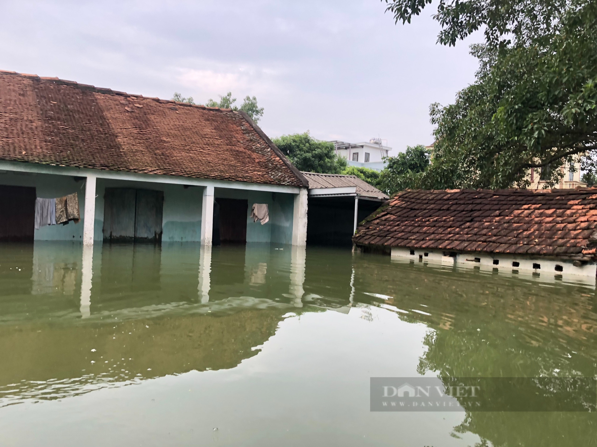 Ngập lụt Chương Mỹ: Phố thành sông, người Hà Nội di chuyển bằng thuyền, hoa màu ngập úng- Ảnh 2.