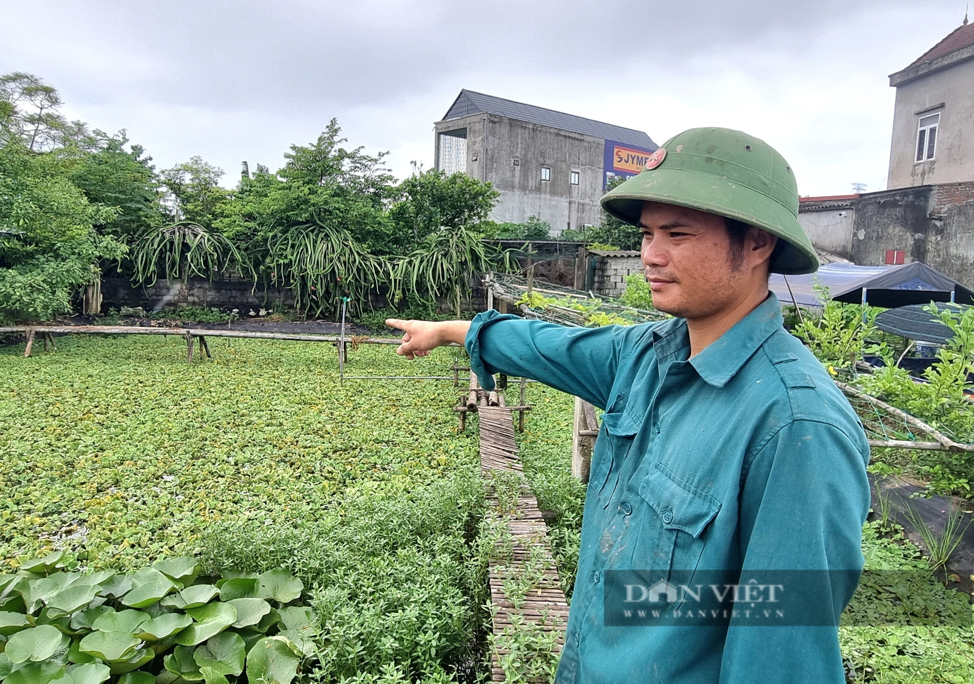 Bỏ việc với lương gần 20 triệu/tháng, 9X Ninh Bình về quê nuôi ốc nhồi lãi gần 400 triệu/năm- Ảnh 12.