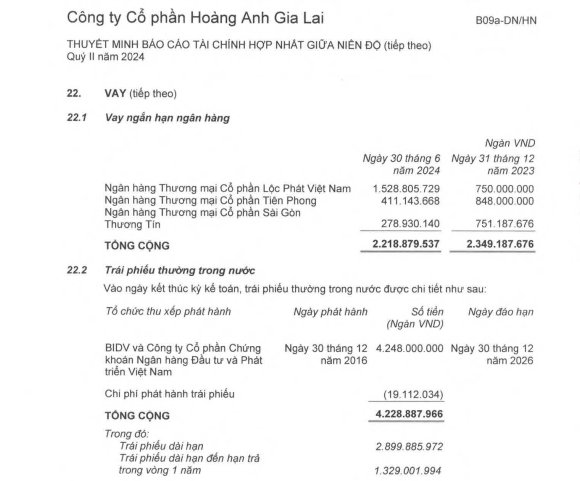 Không phải sầu riêng, loại quả này đã giúp Hoàng Anh Gia Lai (HAG) báo lãi quý II/2024 tăng cấp số nhân- Ảnh 3.