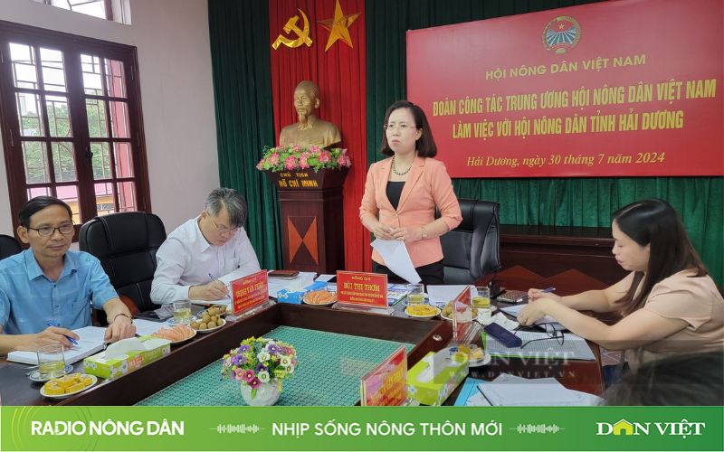 Radio online: Nhịp sống Nông thôn mới ngày 02.08.2024-Radio trực tuyến-Radio truyện-Radio Nông dân- Ảnh 1.