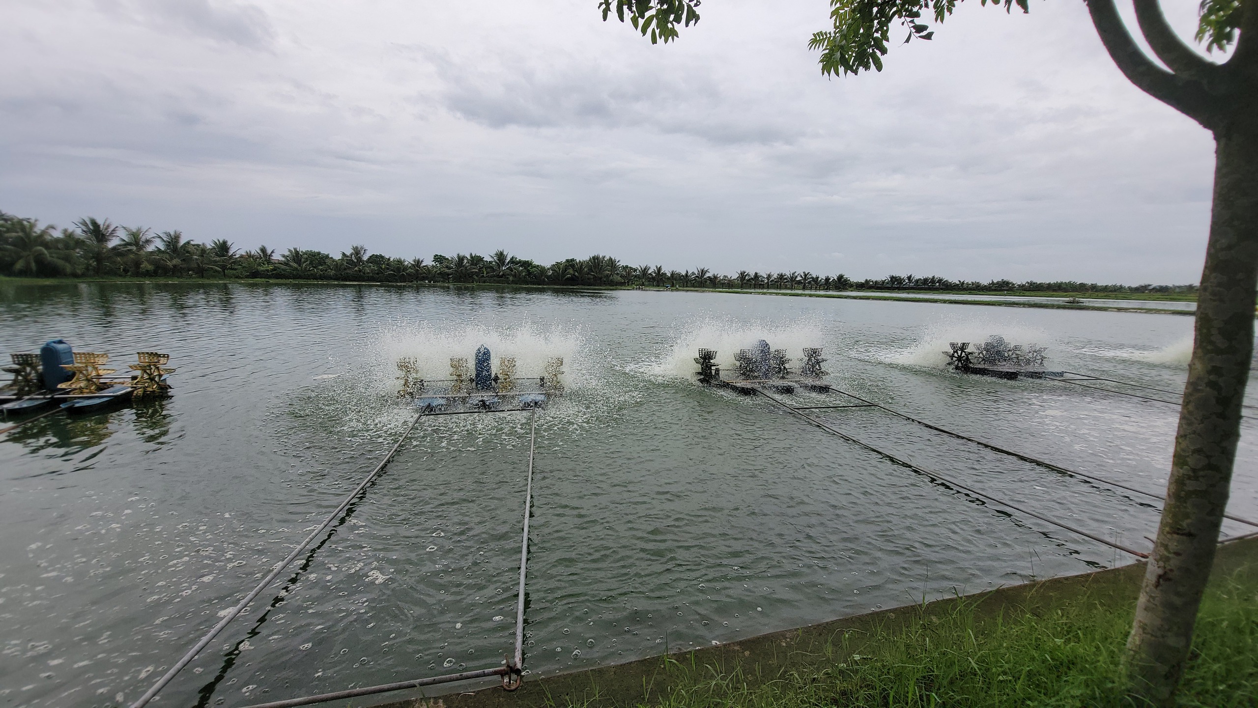 Chuyển đổi số ở Hải Dương đạt nhiều kết quả đáng khích, nhiều chỉ số đứng tốp đầu toàn quốc- Ảnh 3.