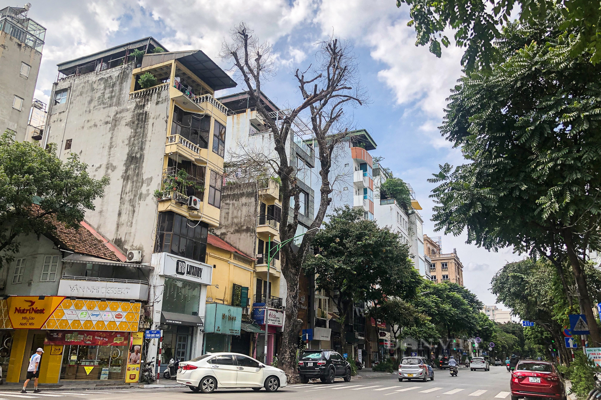 Hà Nội: Cây cổ thụ chết khô, bật gốc tiềm ẩn nguy cơ đổ gãy trong mùa mưa bão - Ảnh 15.