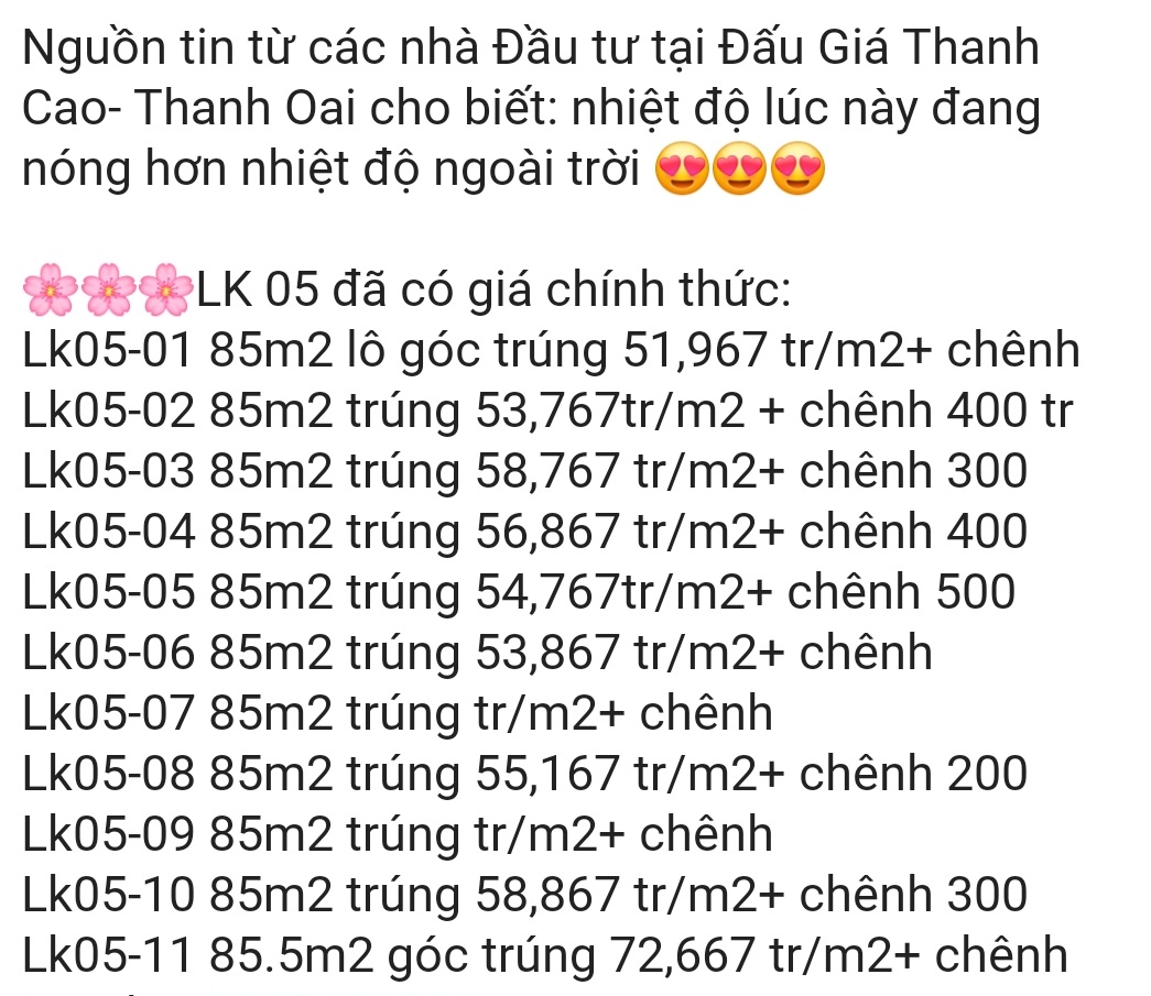 Đấu giá đất huyện Thanh Oai: Giá trúng cao "chót vót", có lô hơn 100 triệu đồng/m2 - Ảnh 4.