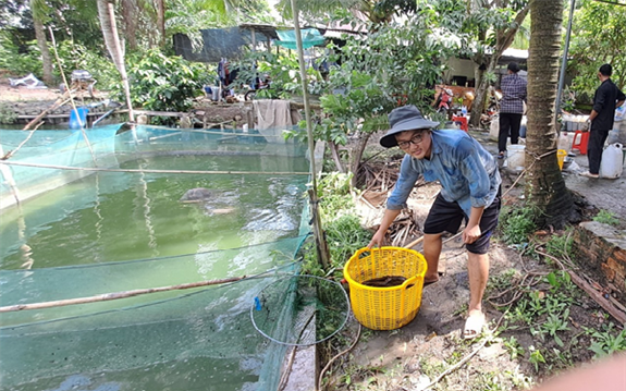 Dân tấp nập cắt "quả tiền tỷ", sao hàng loạt kho sầu riêng ở Đắk Lắk "cửa đóng then cài" lạ thường? - Ảnh 5.