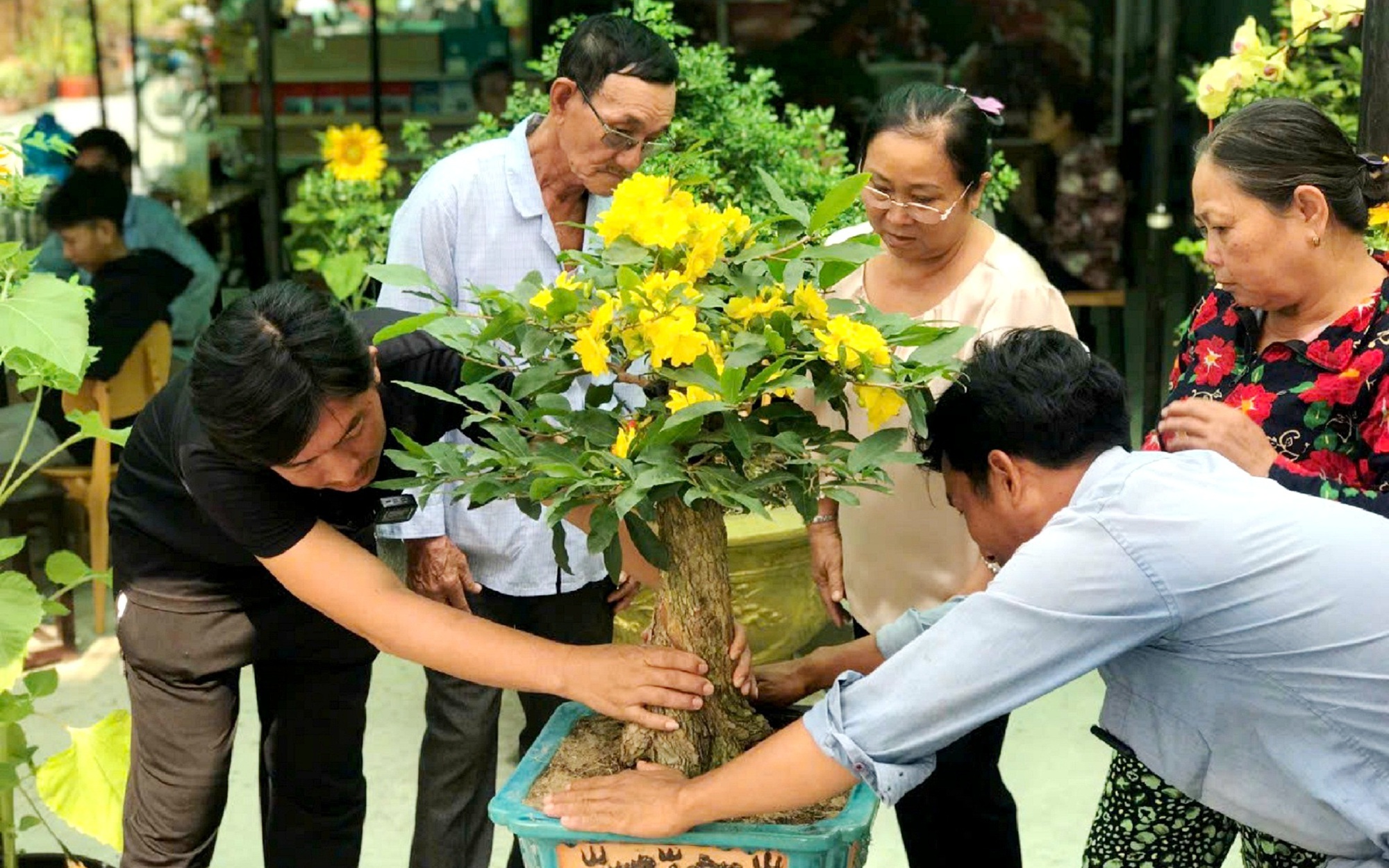 Cấp tập làm nông nghiệp đô thị, nâng thu nhập nông thôn lên gấp 2 lần - Ảnh 2.