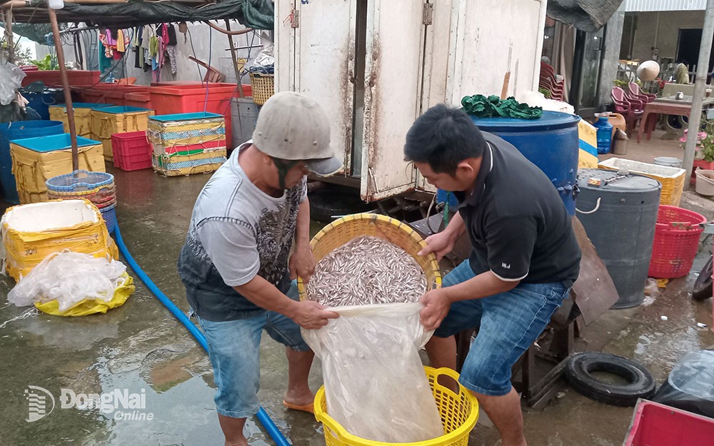 Lăng mộ vua Minh Mạng nhà Nguyễn ở Huế kiến trúc đồ sộ, nguy nga, đường Thần đạo dài 700m - Ảnh 11.