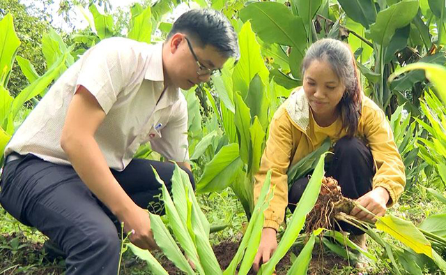 Quảng Ngãi cần tranh thủ nguồn vốn 3 Chương trình MTQG của T.Ư để phát triển kinh tế- Ảnh 3.