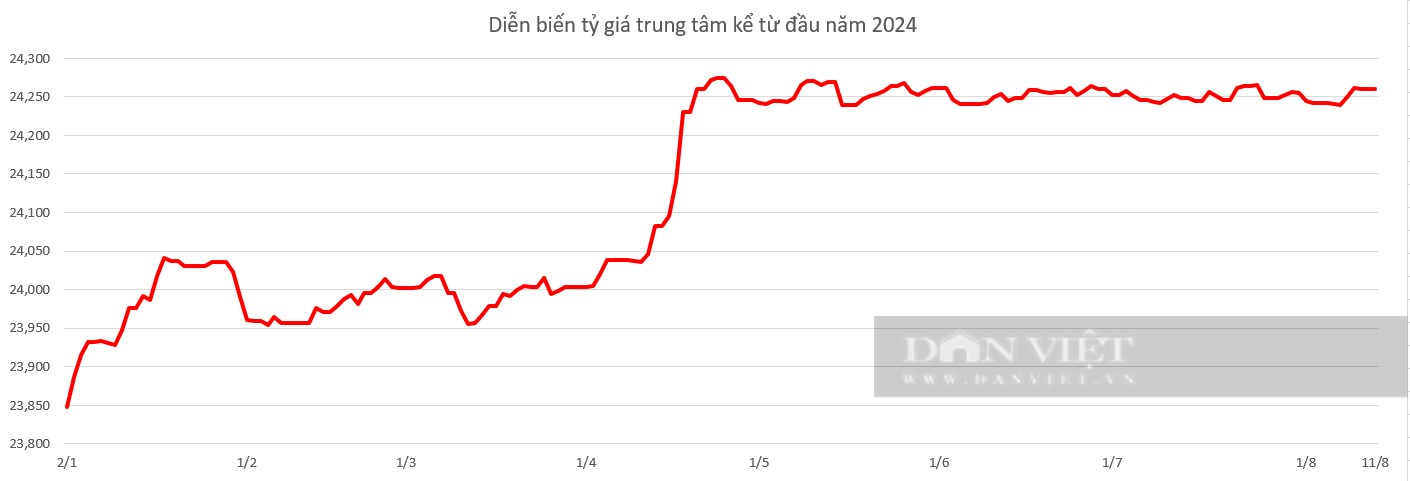 Giá USD hôm nay 11/8: Trong nước ghi nhận tuần tăng- Ảnh 2.