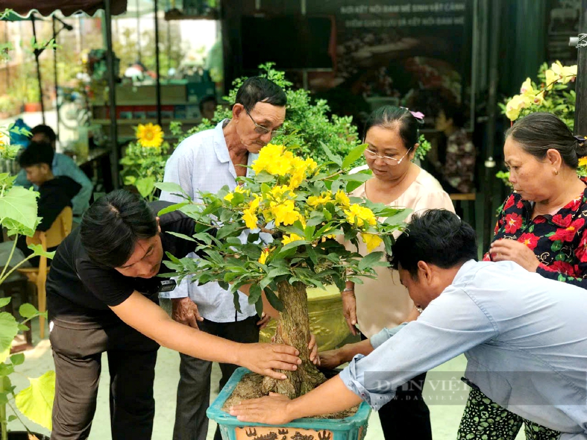 Ngành nghề nông thôn "quay đầu" tiếp sức phát triển nông nghiệp đô thị  - Ảnh 1.