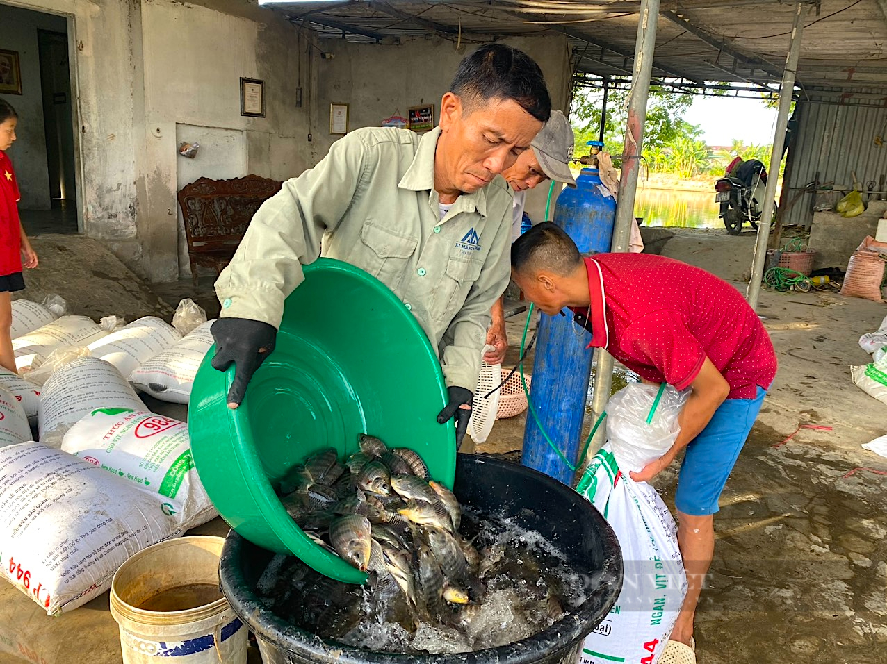 Thanh niên Hà Tĩnh “đổi đời” từ nghề ương nuôi cá giống - Ảnh 1.