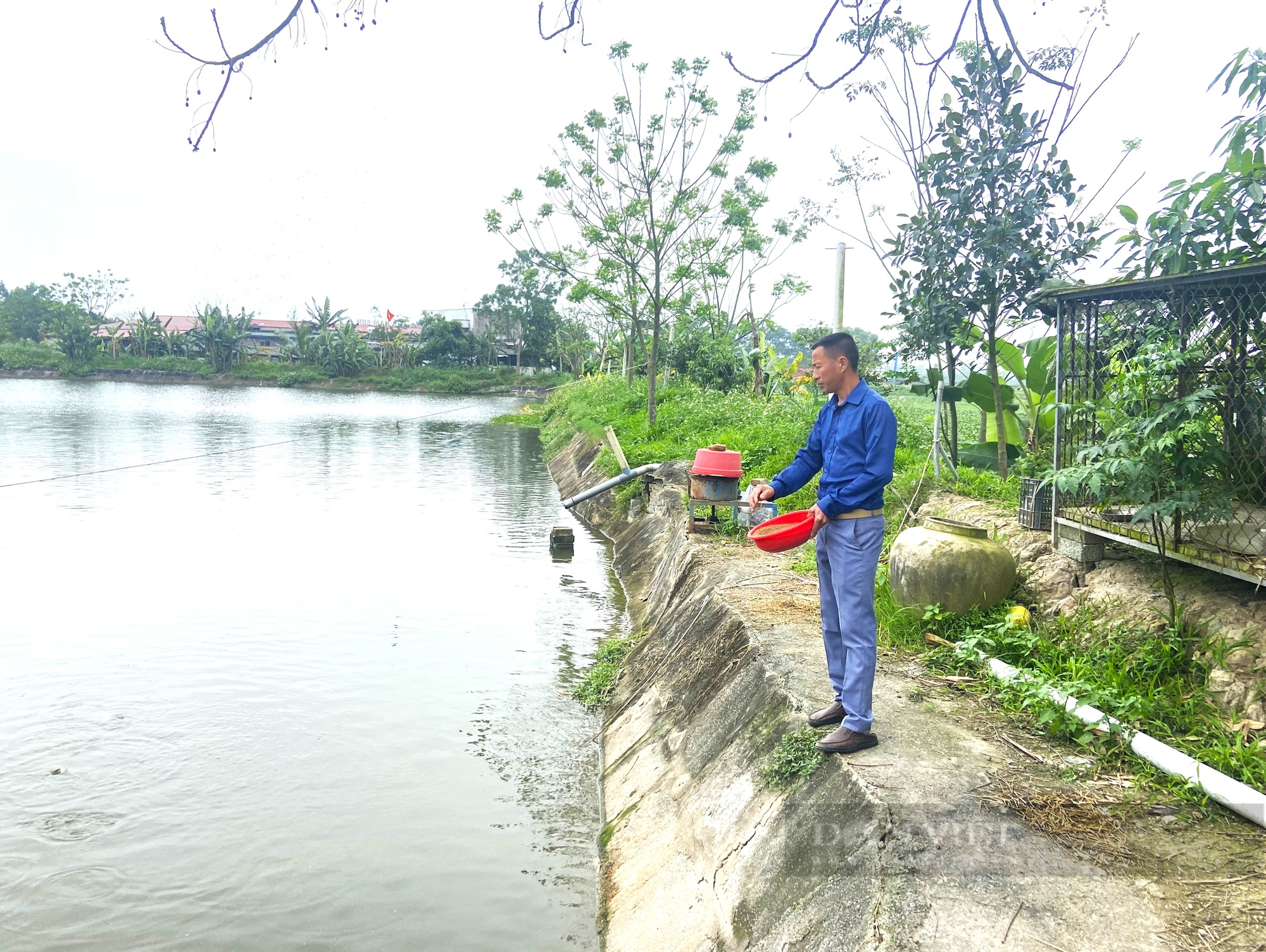 Thanh niên Hà Tĩnh “đổi đời” từ nghề ương nuôi cá giống - Ảnh 3.