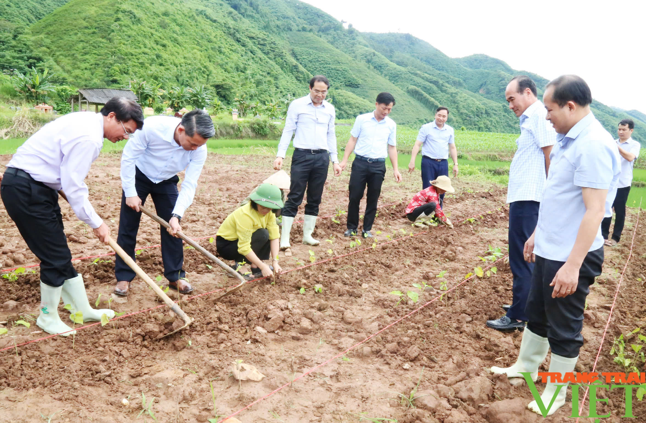 Bí thư Tỉnh uỷ Lào Cai Đặng Xuân Phong kiểm tra các dự án nông nghiệp, giao thông, xây dựng - Ảnh 5.