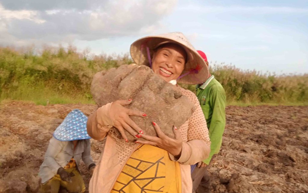 Một người Bắc Giang sáng chế máy tuốt lạc, máy sạ lúa giá hạt rẻ, cả làng phục lăn - Ảnh 1.