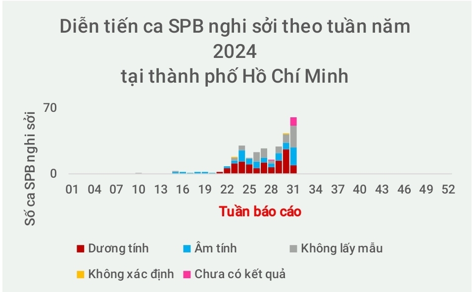 Sở Y tế TP.HCM kêu gọi đưa trẻ đi tiêm chủng bệnh sởi- Ảnh 1.