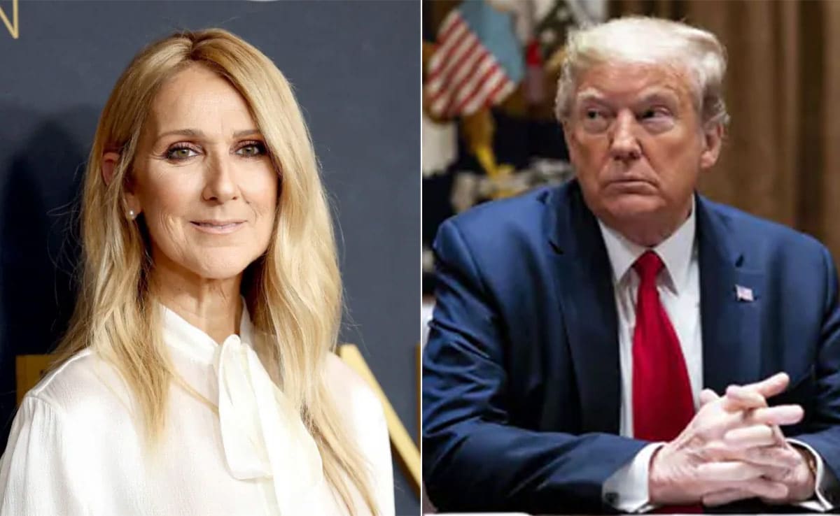 Celine Dion chỉ trích ông Donald Trump sử dụng nhạc không xin phép- Ảnh 1.