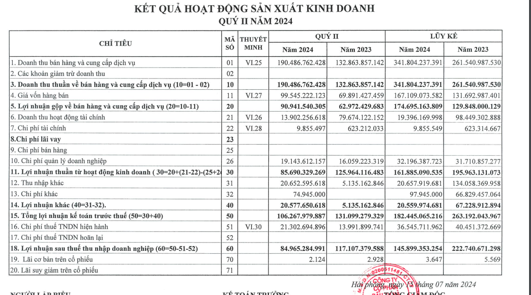 Lợi nhuận "bốc hơi", Cảng Đình Vũ (DVP) chỉ ra nguyên nhân "then chốt"- Ảnh 1.