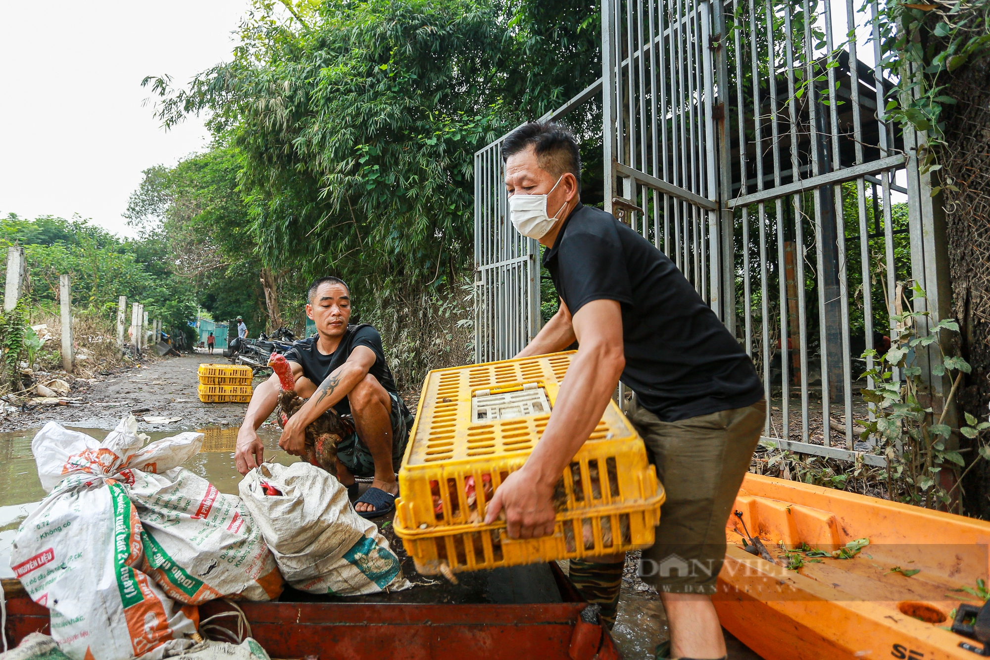 Hà Nội: Bãi giữa sông Hồng ngập sâu, học sinh, người dân phải dùng đò di chuyển - Ảnh 15.