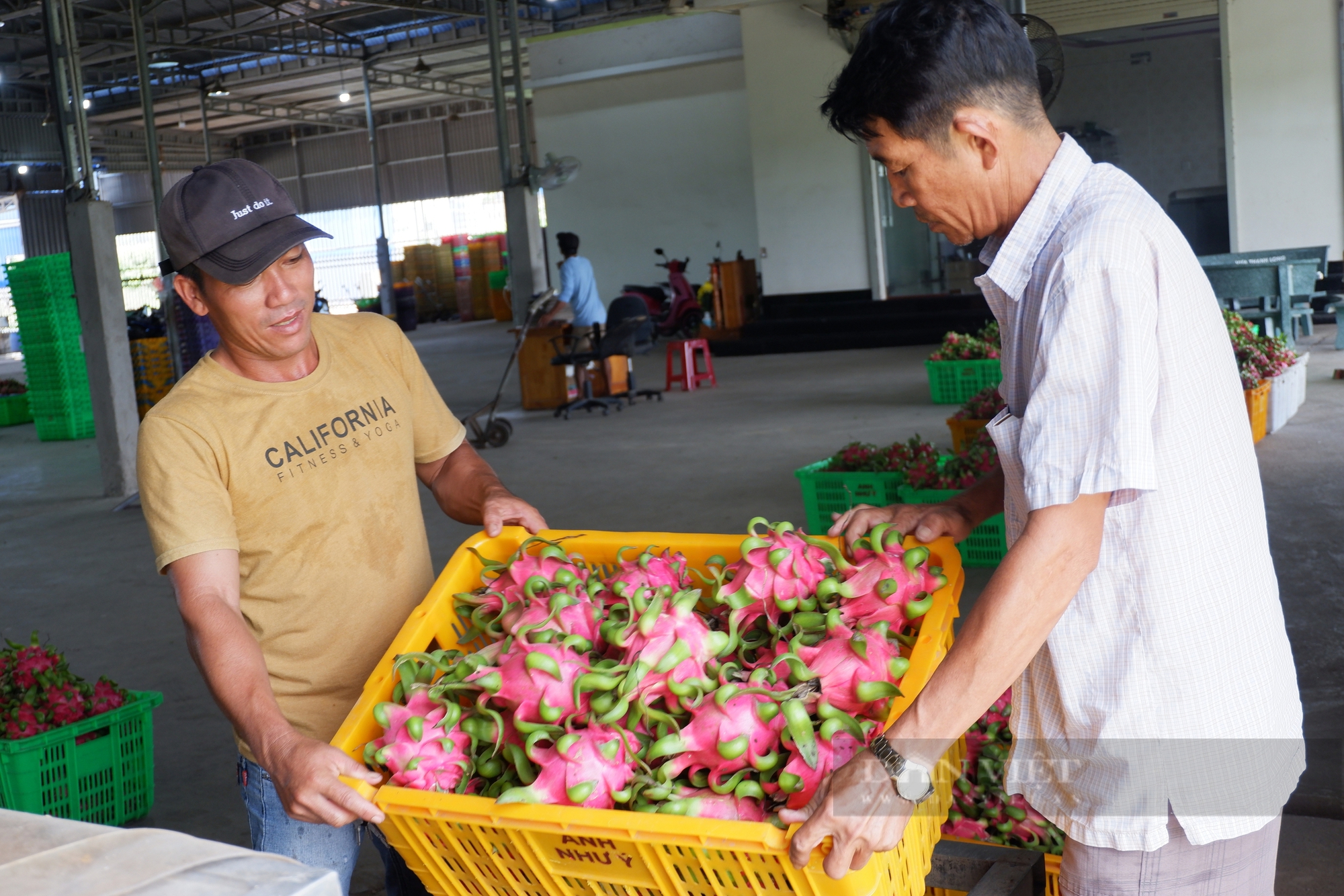 Hội Nông dân tổ chức hội thảo chuyên đề kỹ thuật về đất và dinh dưỡng cho cây trồng ở Bình Thuận - Ảnh 3.