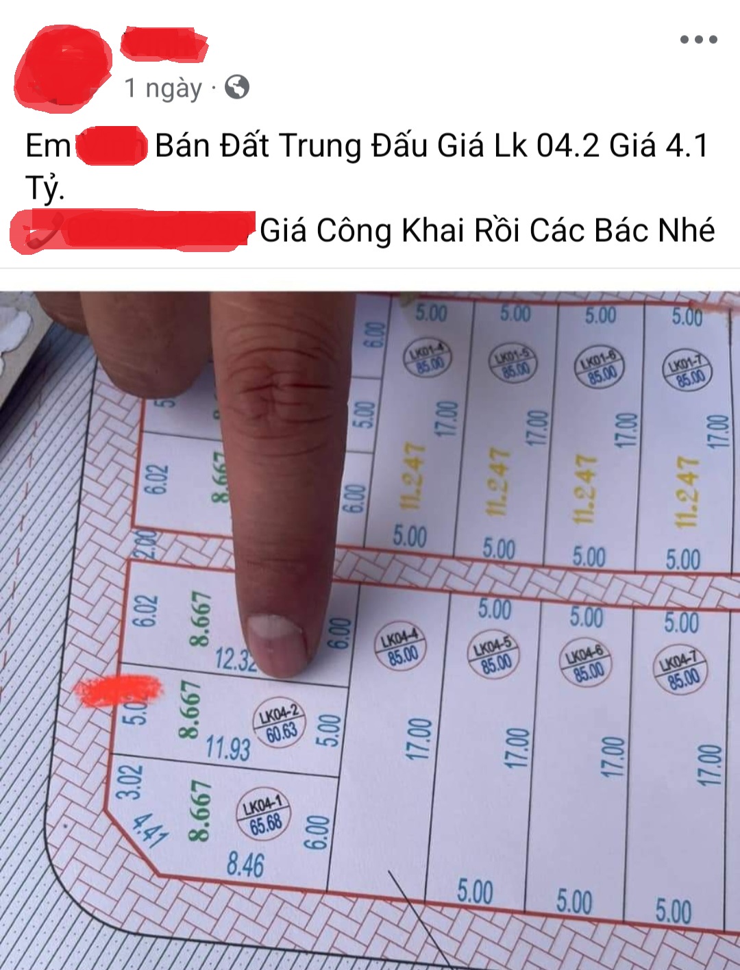 Đấu giá đất Thanh Oai 2024: Có thể xảy ra bỏ cọc? - Ảnh 2.