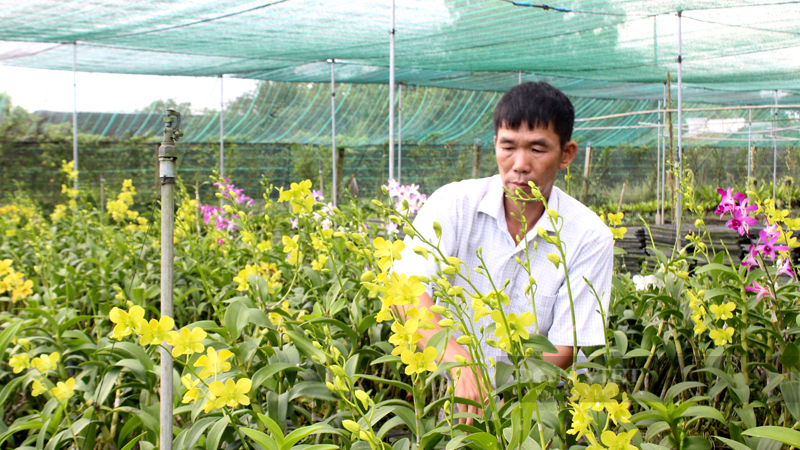 HTX nông nghiệp có nhiều lựa chọn để đầu tư công nghệ cao khi chưa có chính sách hỗ trợ riêng - Ảnh 3.