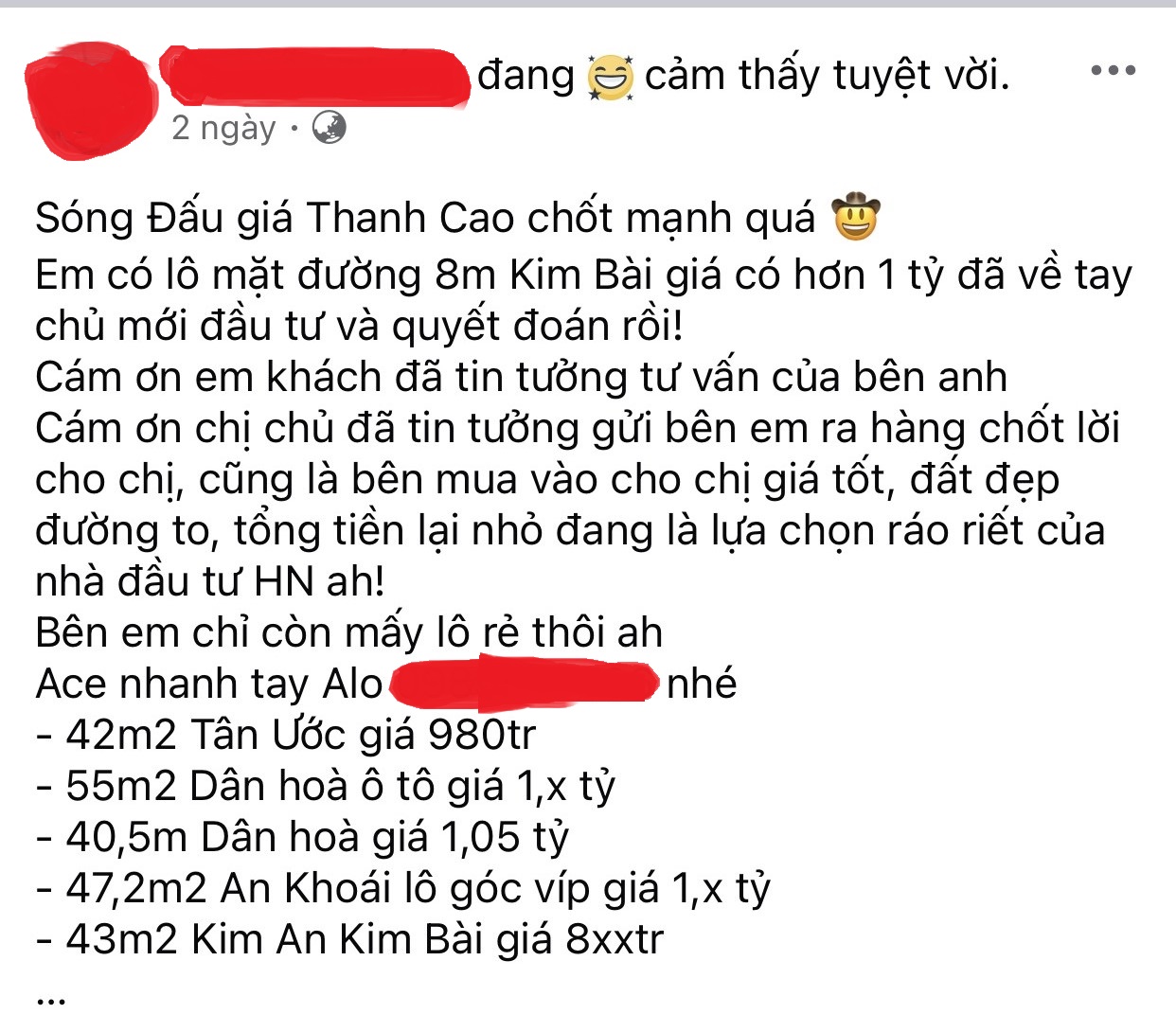 Đấu giá đất Thanh Oai: Nhà đầu tư lợi dụng "sóng lớn" rao bán đất xung quanh - Ảnh 3.