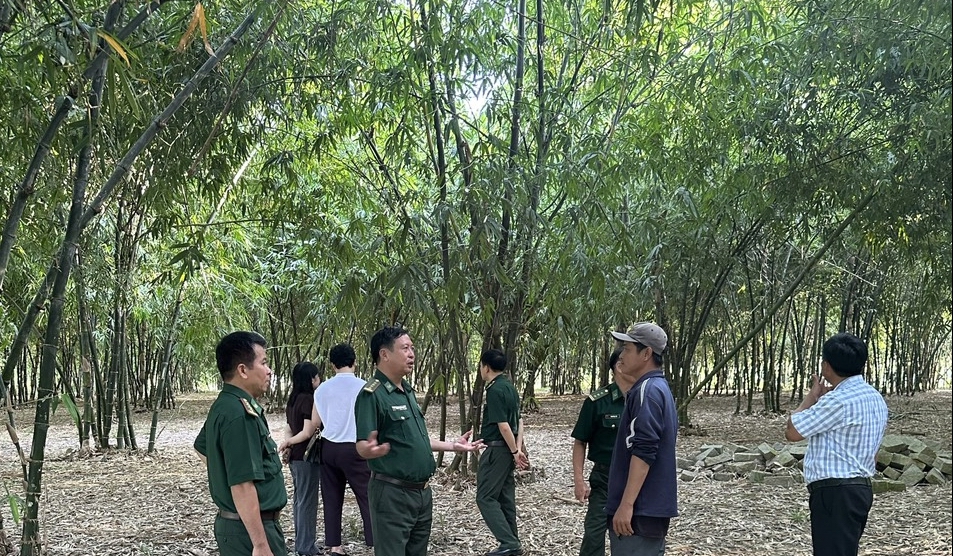 Nhiều nông dân thu nhập cao nhờ ứng dụng kỹ thuật phát triển nông nghiệp hiện đại, bền vững... - Ảnh 4.