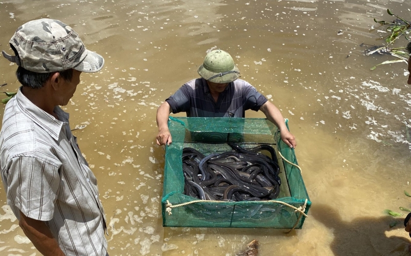 Kênh Ông Kiệt, dòng kênh tạo nên tam giác của sự sống nơi vùng đất chết - Ảnh 3.