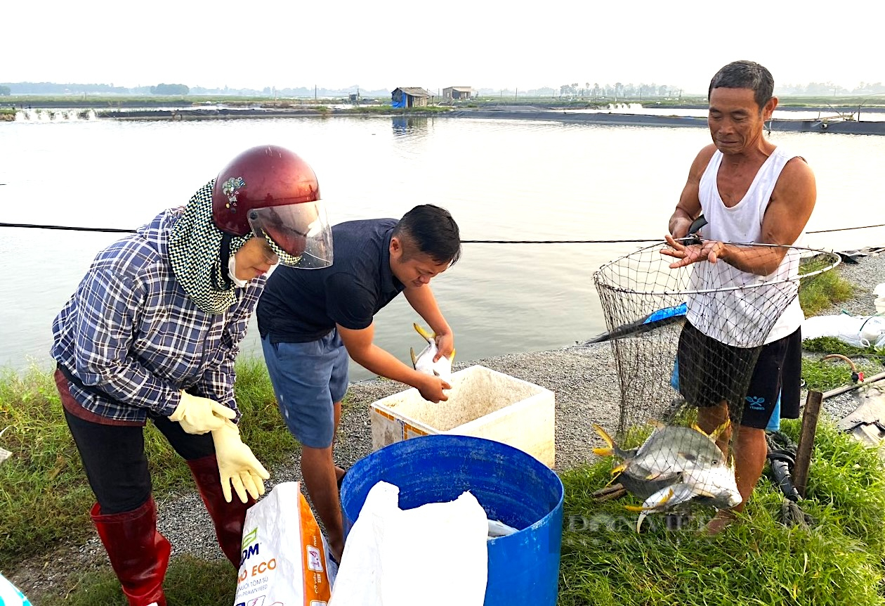 Nộ dân ở Hà Tĩnh phá thế độc canh con tôm, đa dạng đối tượng nuôi nâng cao hiệu quả sản xuất - Ảnh 1.