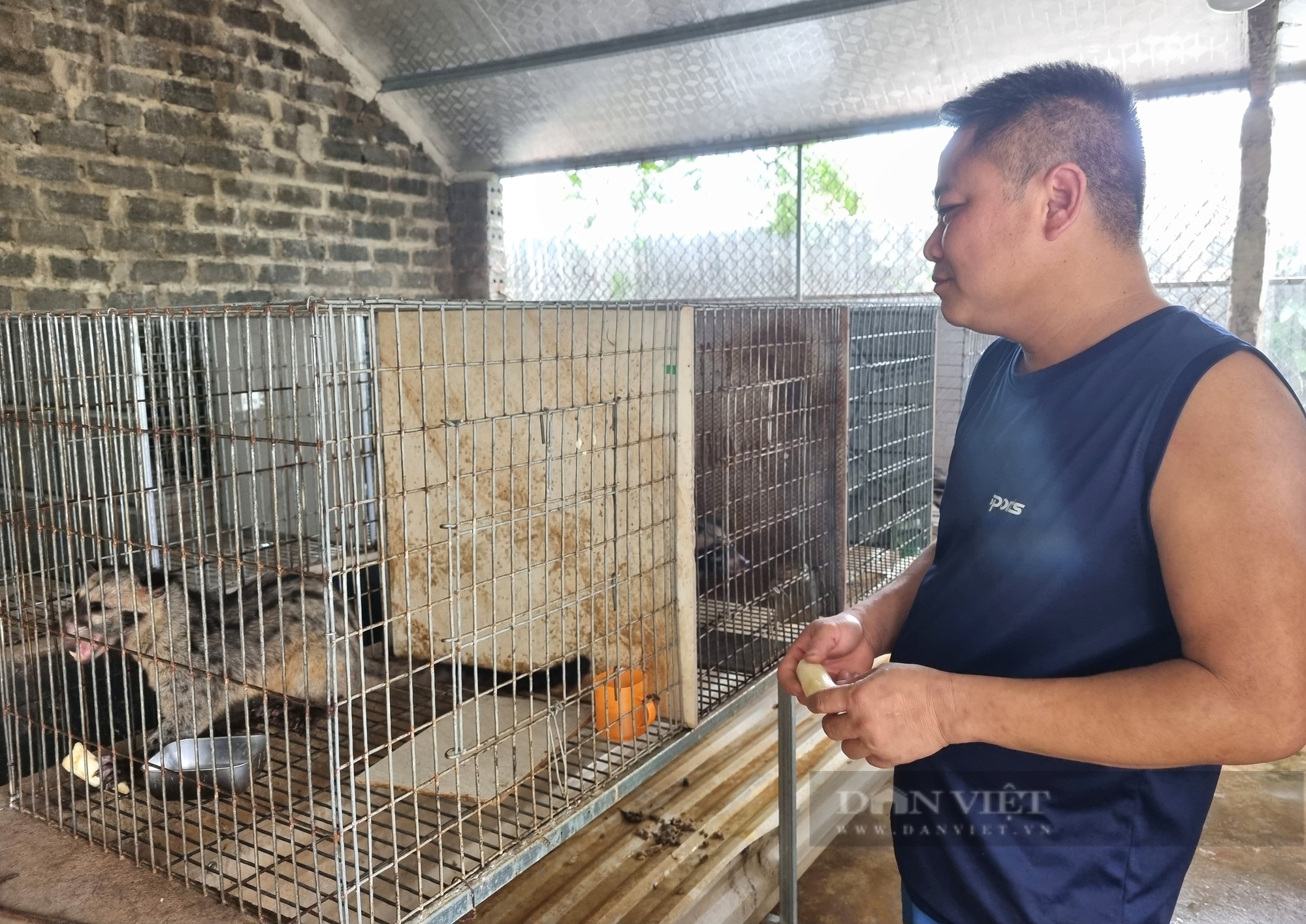 Bỏ nuôi lợn, gà chuyển sang nuôi loài động vật hoang dã, một ông trưởng thôn ở Ninh Bình gặp cái kết - Ảnh 12.