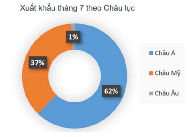 Đơn hàng tăng mạnh, Dệt may Thành Công (TCM) vượt kế hoạch lãi chỉ sau 7 tháng - Ảnh 2.