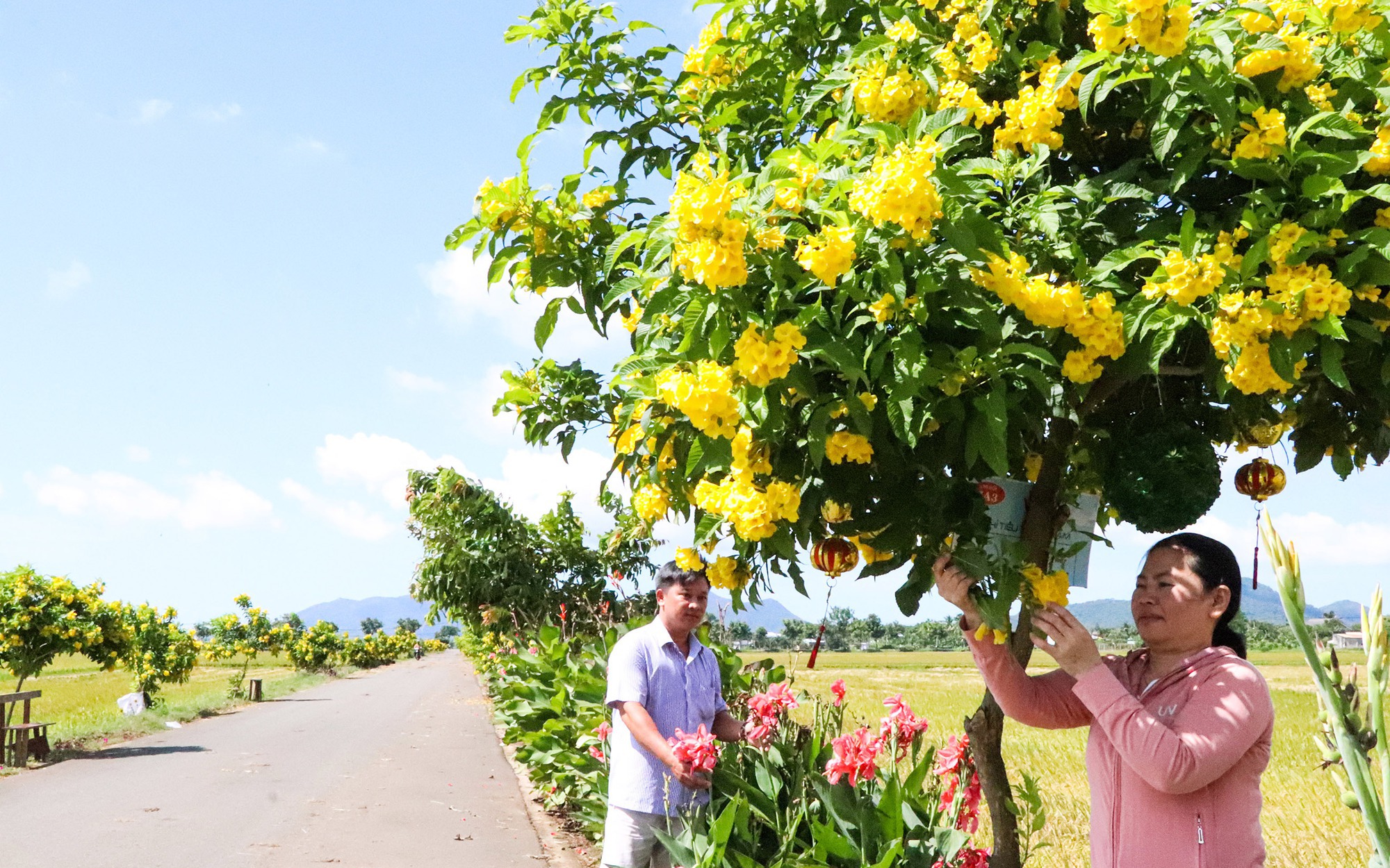 Kênh Ông Kiệt, dòng kênh tạo nên tam giác của sự sống nơi vùng đất chết - Ảnh 2.