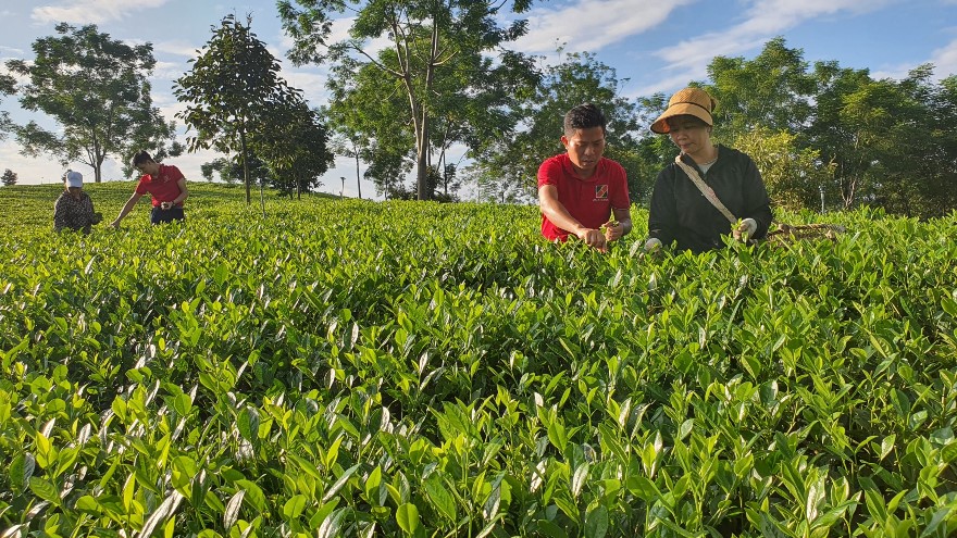 Agribank tiên phong đầu tư phát triển nông nghiệp sạch, nông nghiệp công nghệ cao - Ảnh 1.