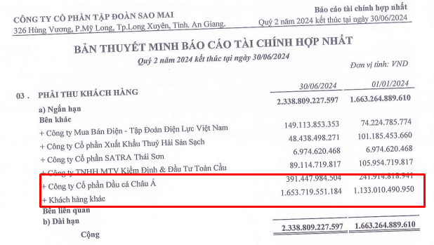 Tập đoàn Sao Mai (ASM) tăng vay công ty con lên 181,7 tỷ đồng- Ảnh 4.