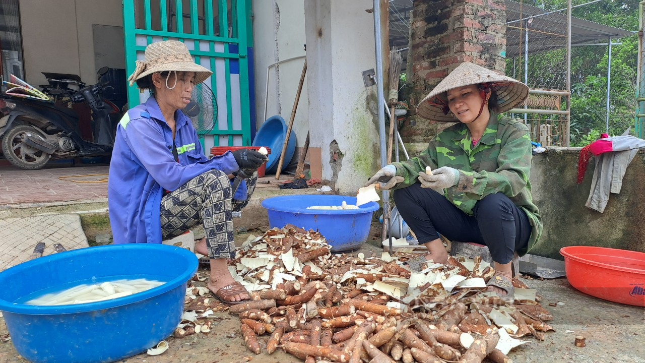 Loại củ từng cứu đói một thời, nay trở thành đặc sản qua bàn tay của đôi vợ chồng ở Thái Nguyên - Ảnh 4.