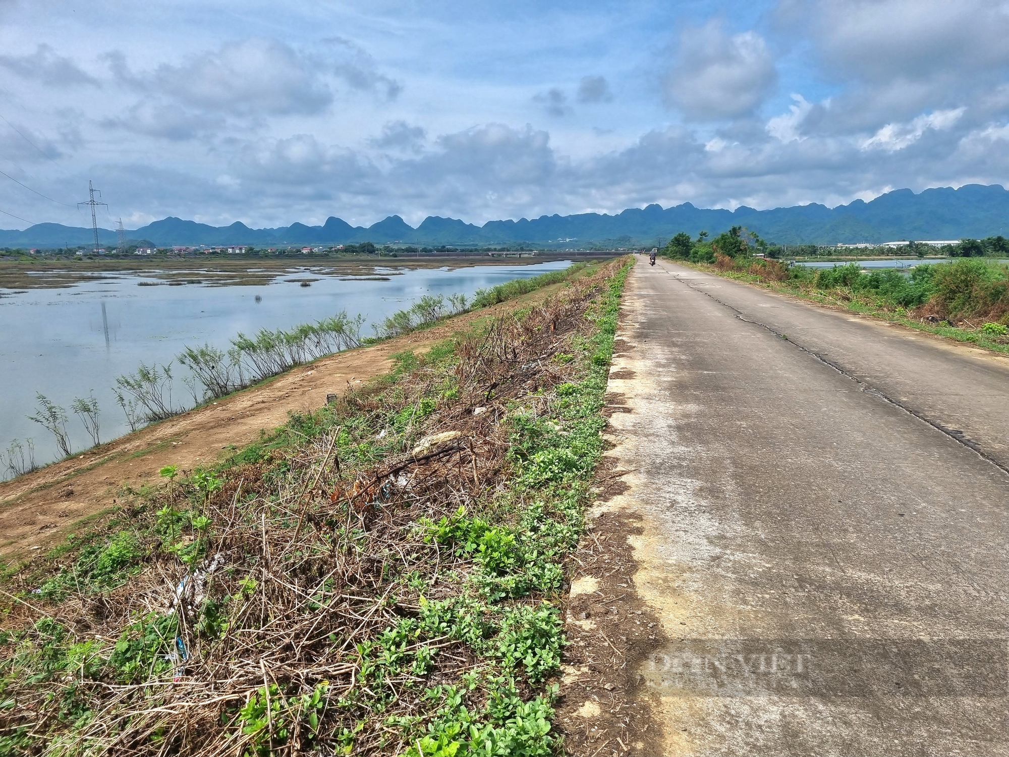 Ninh Bình: Mặt đê Năm Căn nứt toác kéo dài trong mùa mưa lũ - Ảnh 7.