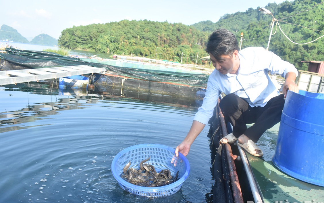 Mới phát hiện hàng chục loài động vật hoang dã ở Bình Thuận, có gà rừng, lợn rừng, con mang đỏ - Ảnh 2.