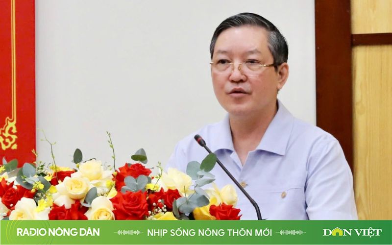 Nhịp sống nông thôn mới ngày 16/8/2024 - Ảnh 1.