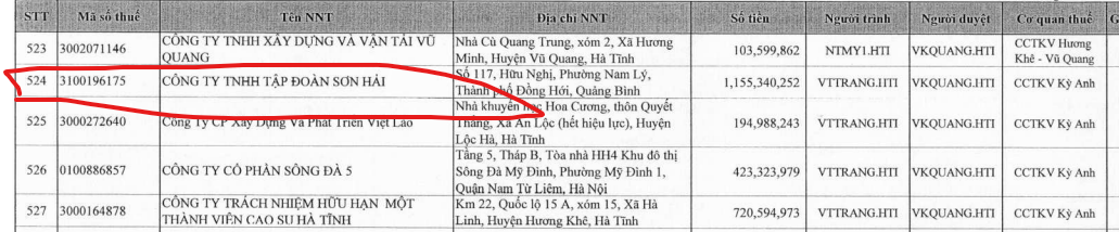 Xây nhà tặng người dân vùng lũ, Tập đoàn Sơn Hải từng nợ thuế, bị xử phạt vi phạm gì?- Ảnh 1.