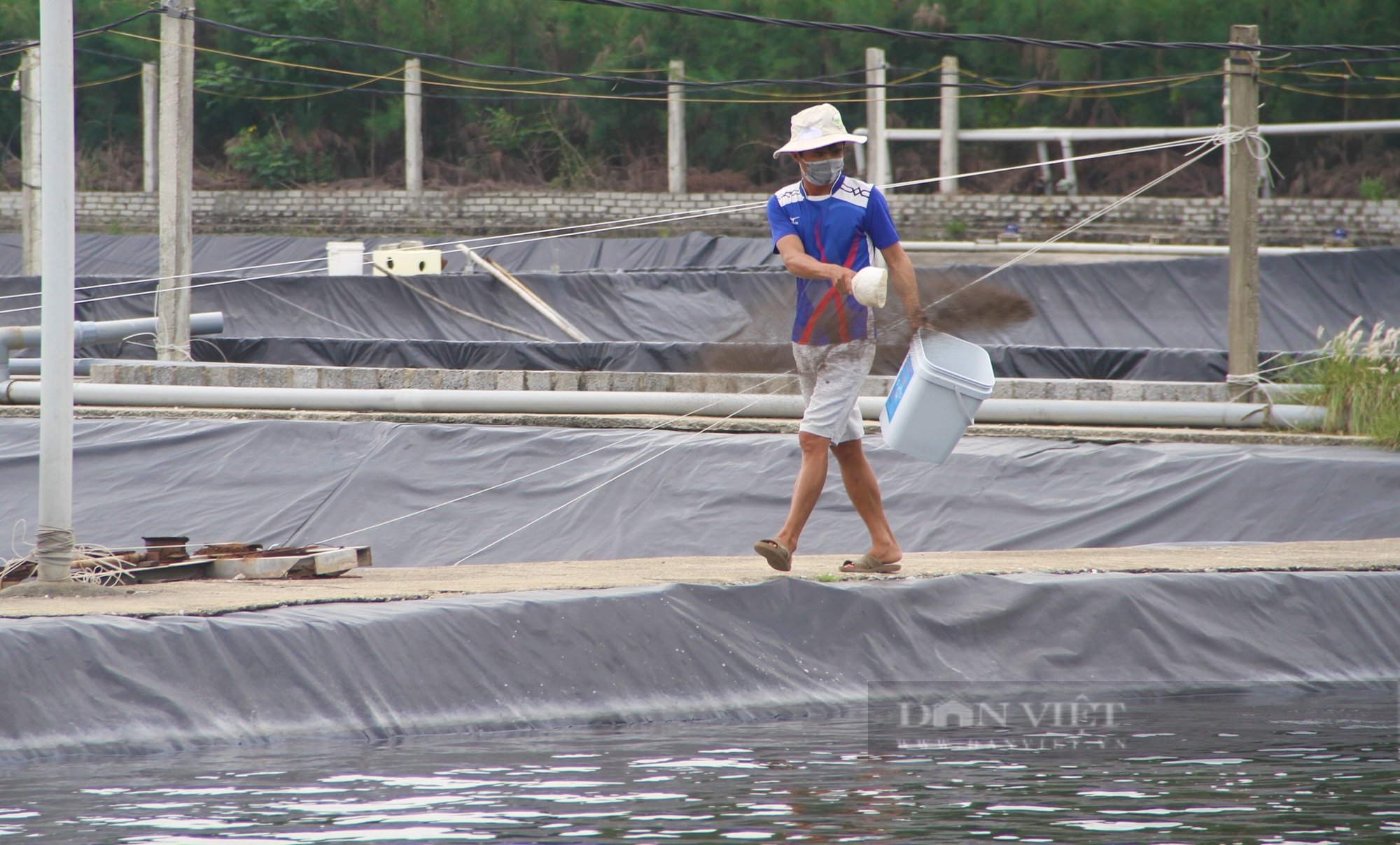 Cú "bẻ lái" bất ngờ của Nông dân Việt Nam xuất sắc 2024 đến từ Nghệ An, mỗi năm thu 25 tỷ từ con tôm - Ảnh 9.