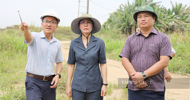 Quảng Ngãi: Chủ đầu tư phải thuê tư vấn “đủ tầm” tham gia kiểm tra hồ sơ hoàn thành 5 dự án  - Ảnh 6.