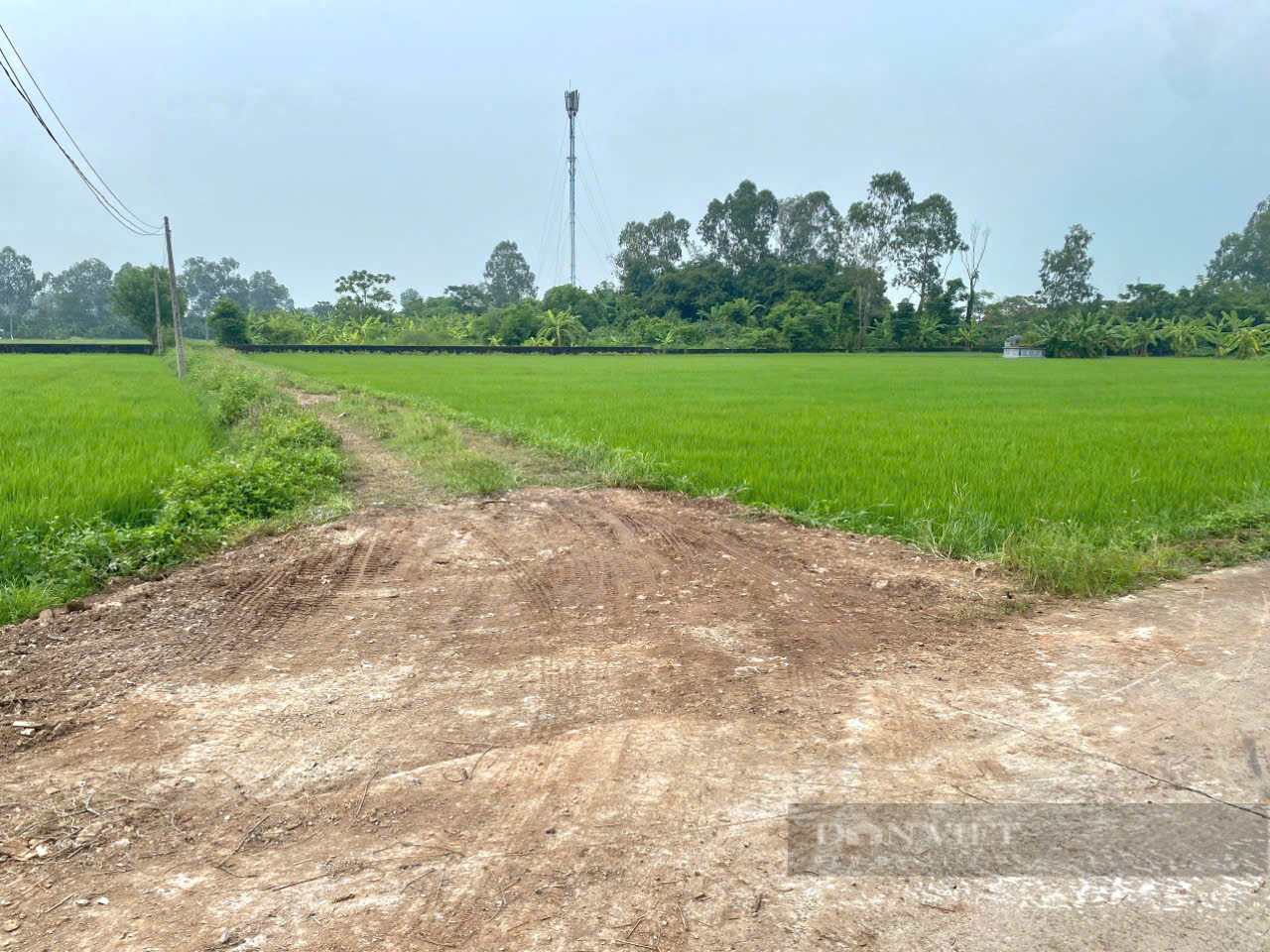 Đã tháo dỡ hàng rào, đất, đá chặn lối vào trại lợn ở Ninh Bình - Ảnh 1.