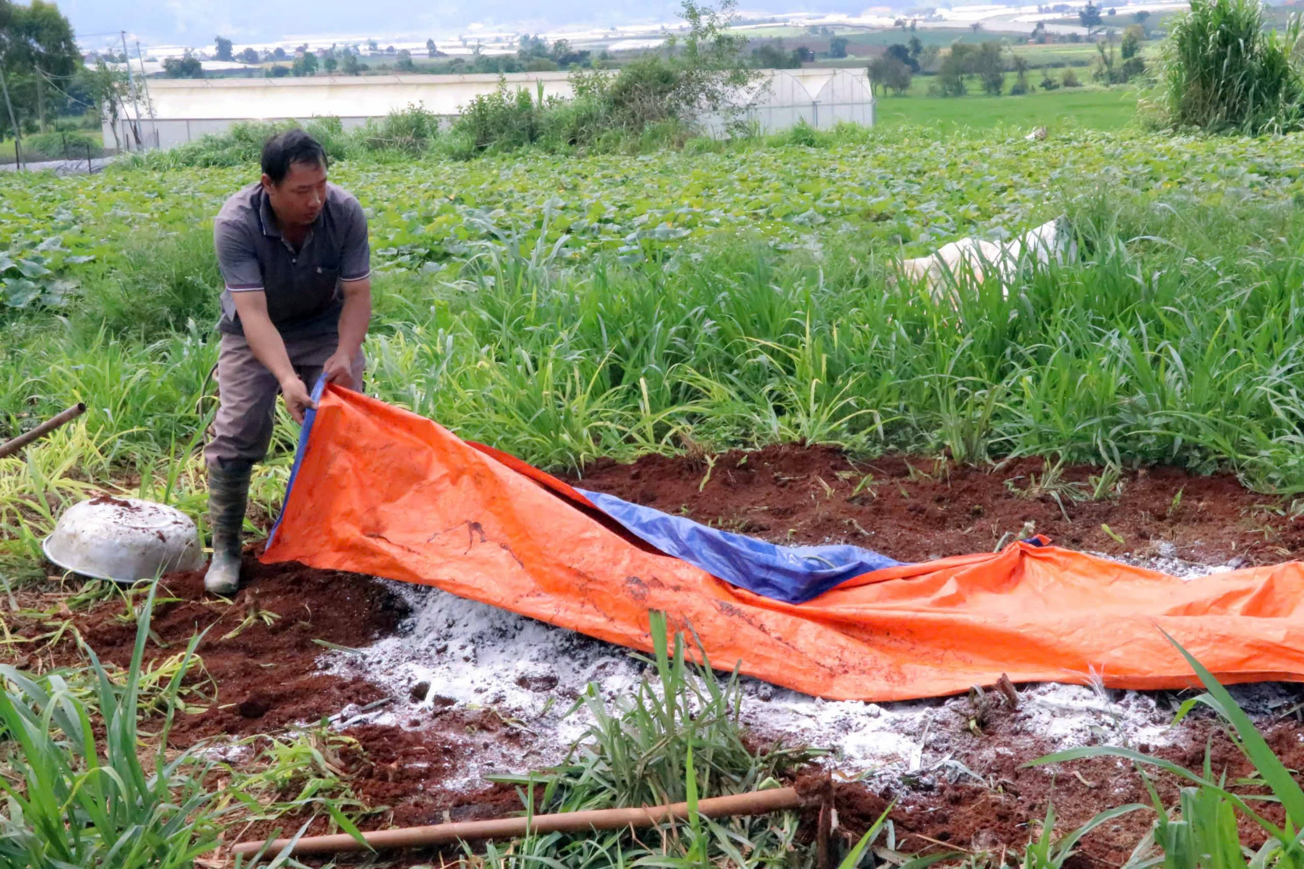 Vụ bò chết bất thường ở Lâm Đồng: Số bò nhiễm bệnh vẫn tăng, tái bệnh trở lại- Ảnh 2.