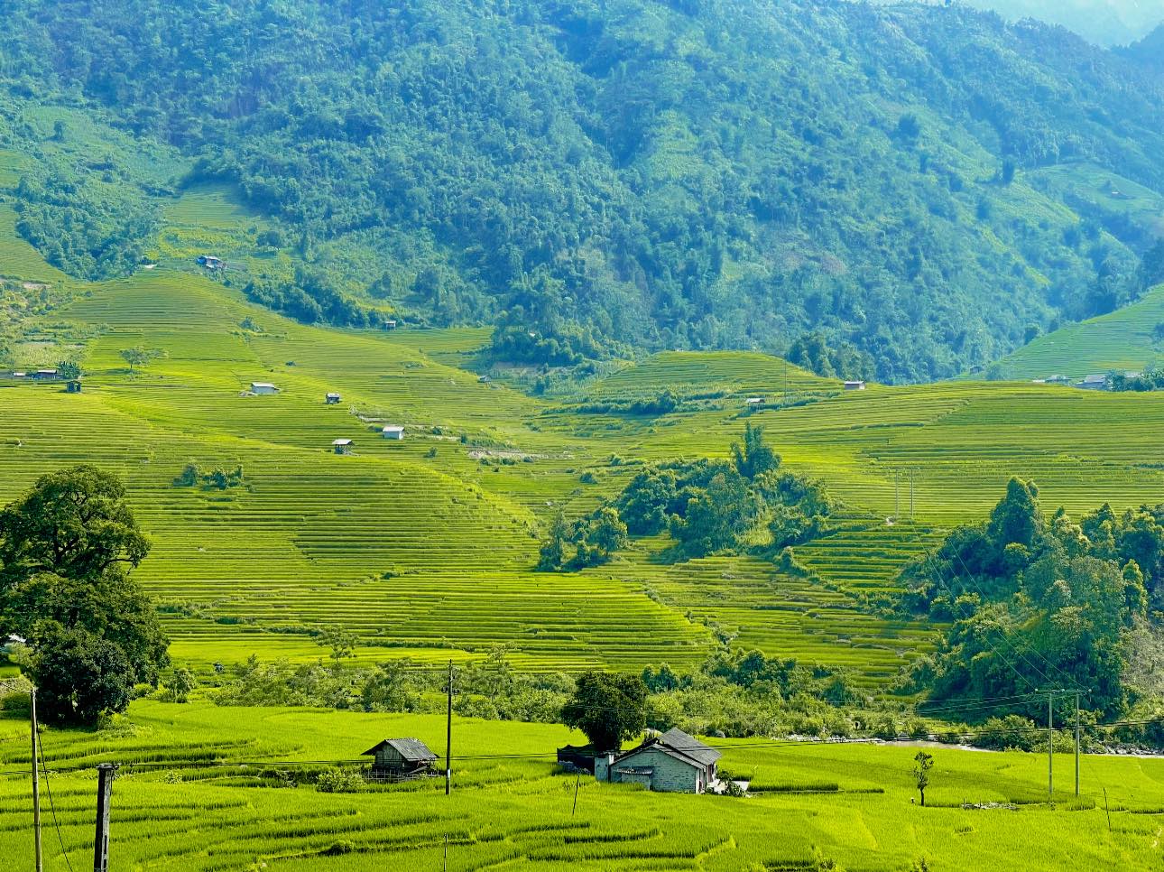 Chớm thu, Sa Pa đẹp như một thế giới thần tiên với những thửa ruộng bậc thang xanh ngút ngàn tầm mắt - Ảnh 1.