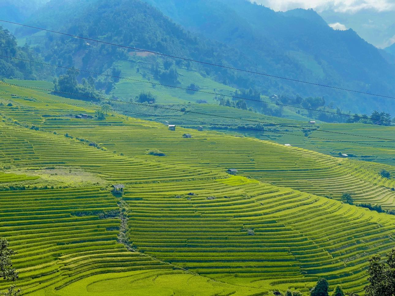 Chớm thu, Sa Pa đẹp như một thế giới thần tiên với những thửa ruộng bậc thang xanh ngút ngàn tầm mắt - Ảnh 2.