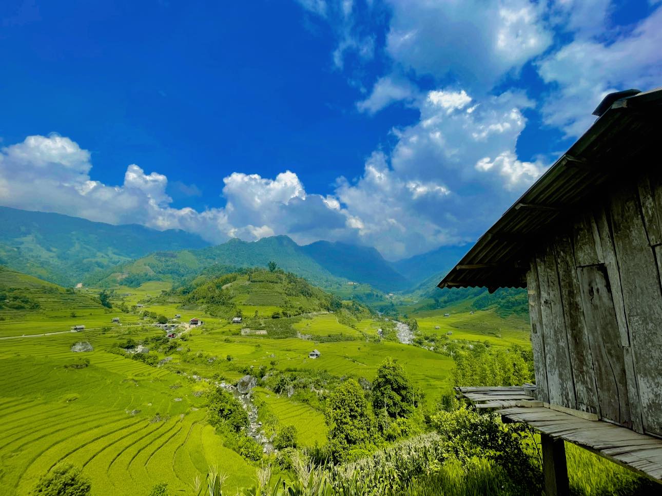 Chớm thu, Sa Pa đẹp như một thế giới thần tiên với những thửa ruộng bậc thang xanh ngút ngàn tầm mắt - Ảnh 3.